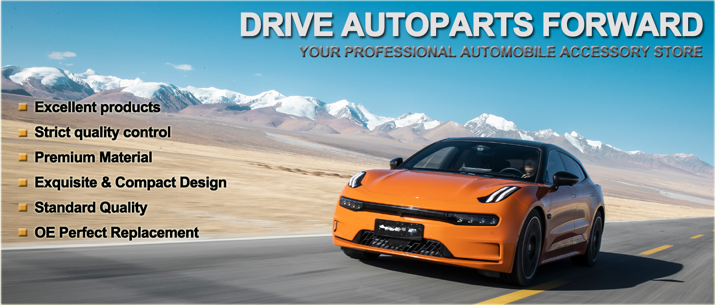 Front Air Shock Absorbers Strut Springs Pair