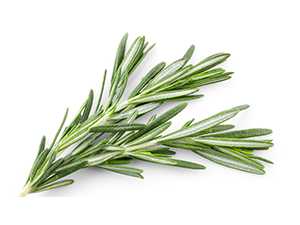 Small manufacture image 8