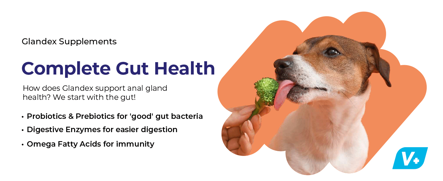 Probiotics