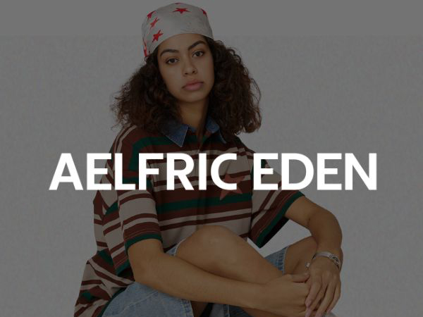 Amazon.com: Aelfric Eden Stripe Star Polo Tee Oversized