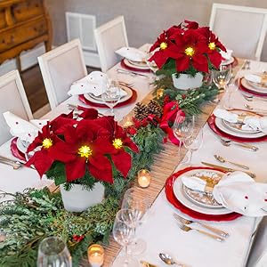 Poinsettias4