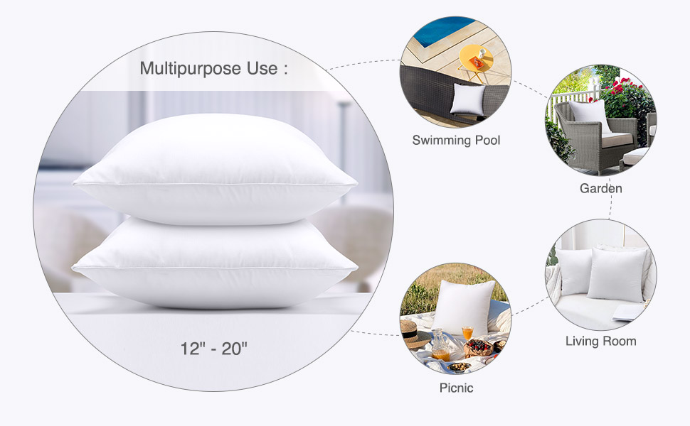 COOKEY Throw Pillow Insert (Pack of 2) 20 x 20 Pillow Inserts for