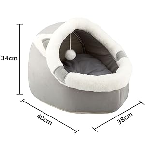 cat beds