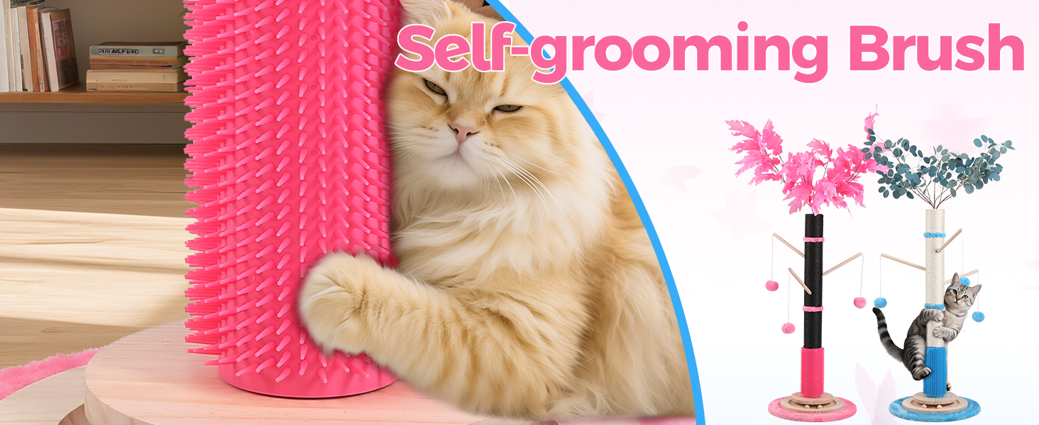 kitten scratching post