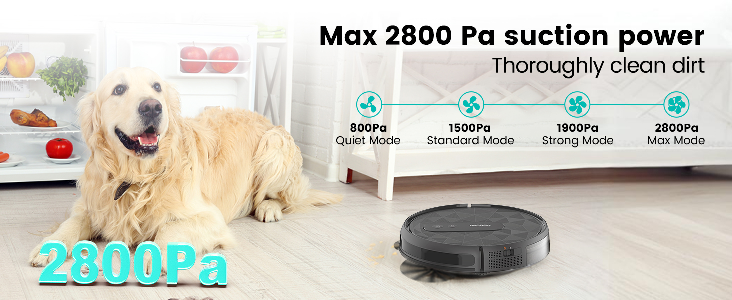 vacuum robot