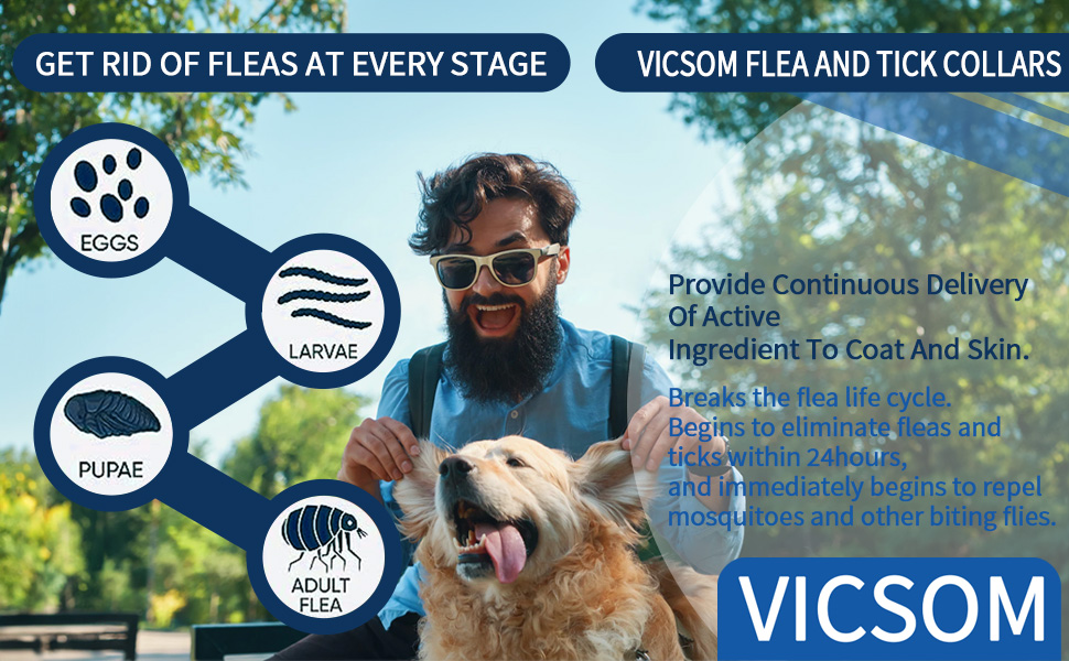 4 Pack Flea Collar for Dogs, Dog Flea and Tick Collar 8