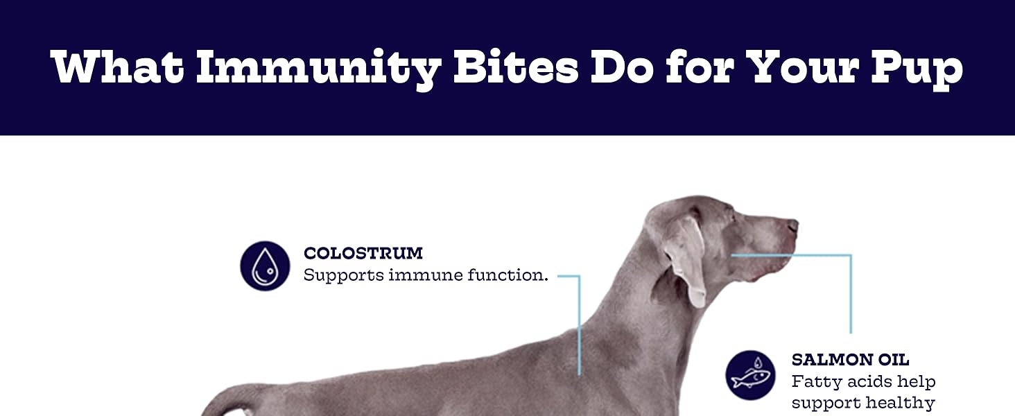 Amazon.com : Moe’s Allergy and Immune Support for Dogs- Supports Anti - Best Allergy And Immune Support For Dogs