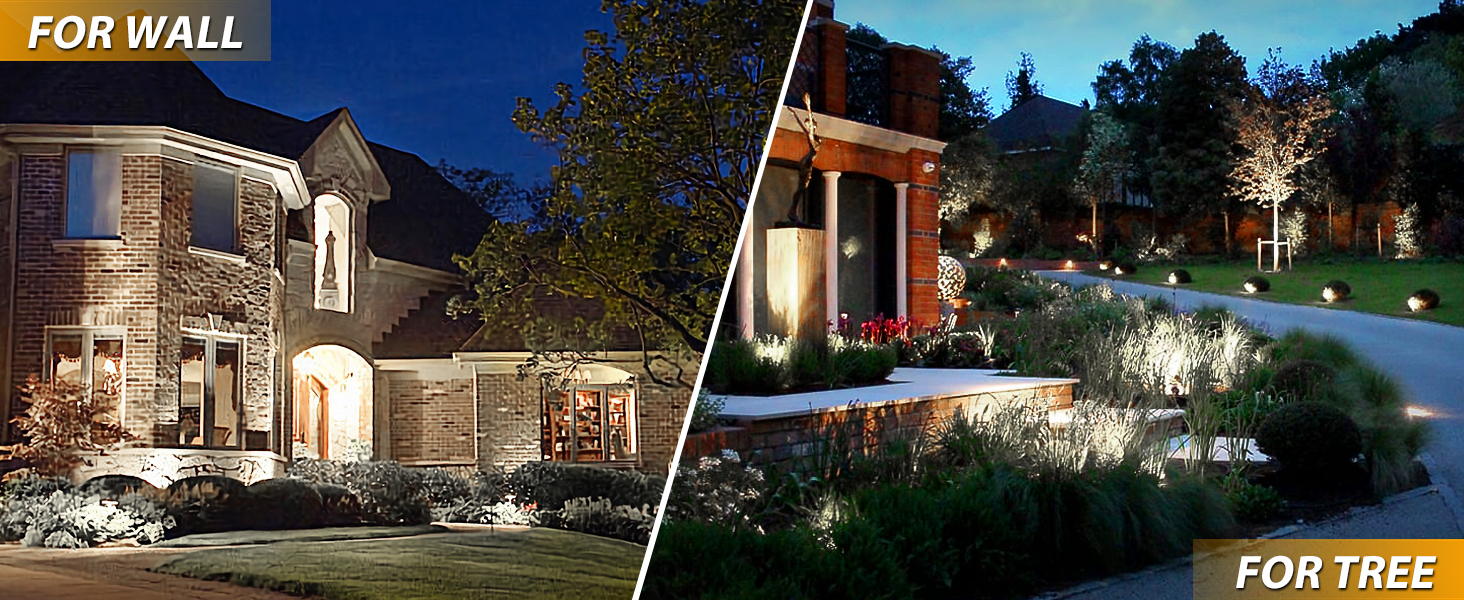 a house with a front yard and a front yard