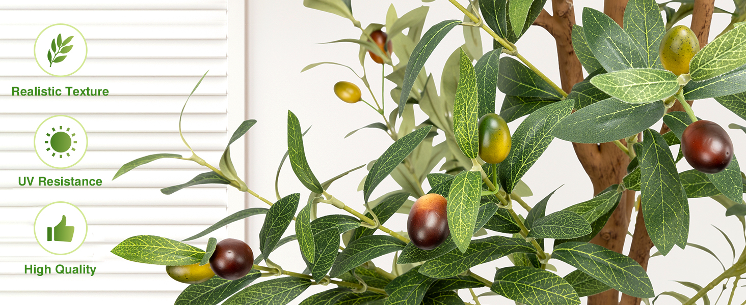 indoor tree