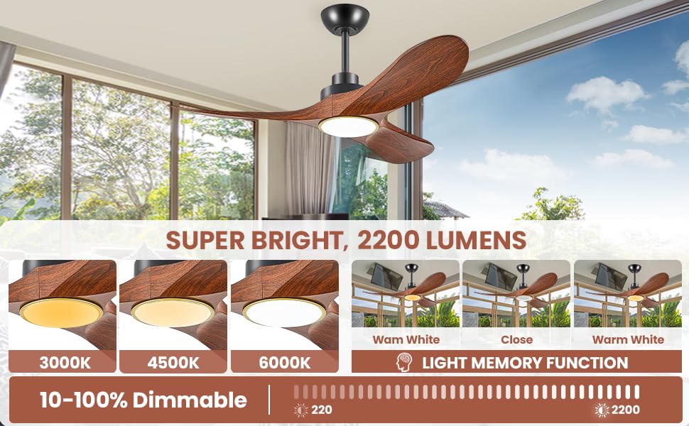 Ceiling fan with lights