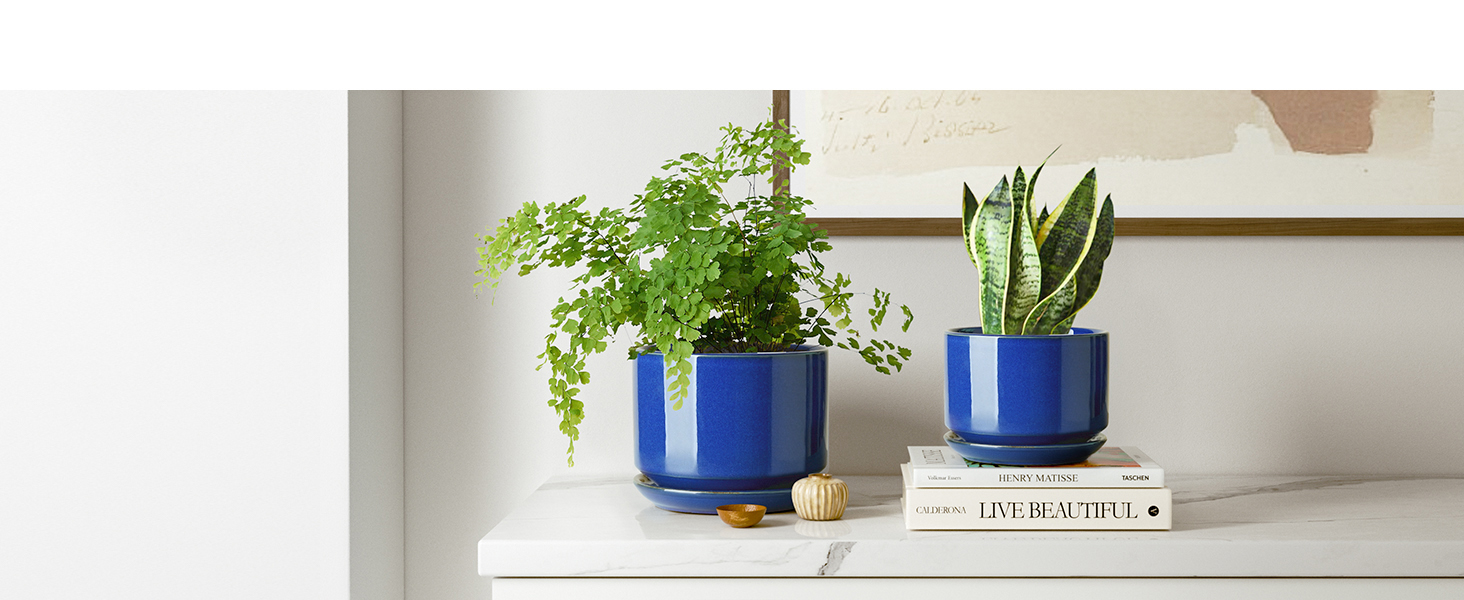 small ceramic plant pots indoor with saucer