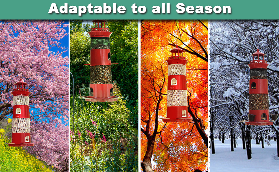 Bird Feeders for Outdoors Hanging, Squirrel Proof Birds