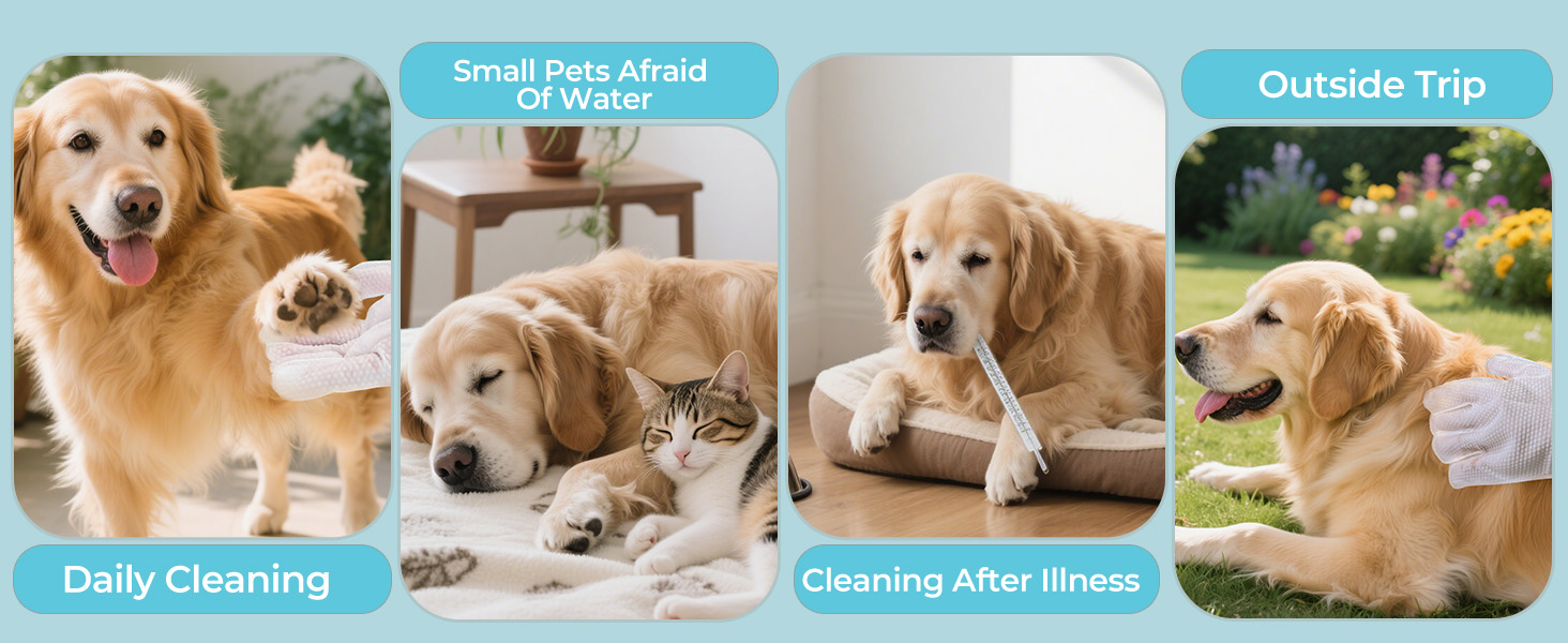 cleaning gloves for dogs