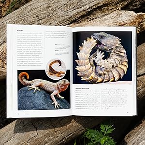 Small manufacture image 6