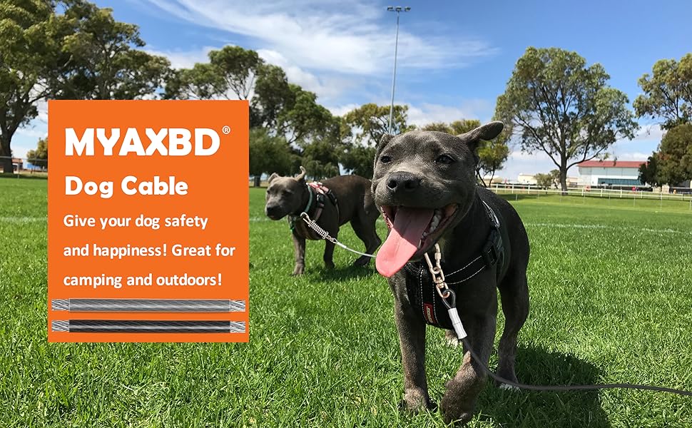 MYAXBD Tie Out Cable for Dogs 50ft Dog Chains for