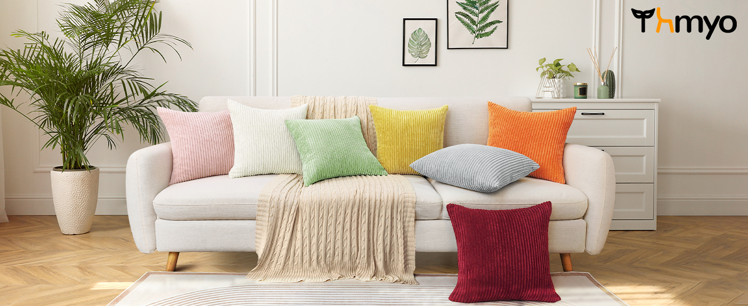 Thmyo Pack of 2 Corduroy Soft Decorative Throw Pillow