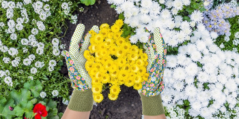 Small manufacture image 3