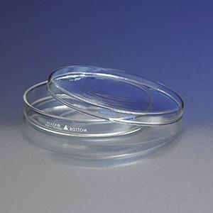 Pyrex - TILLEY ティリー ホヤ　耐熱ガラス　G.T.C. Ltd 171 PYREX Glass Petri Dish with Cover – Glass Laboratory