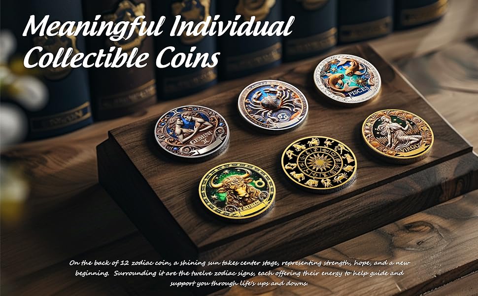 Twelve Constellations Aquarius Protective Talisman Coin