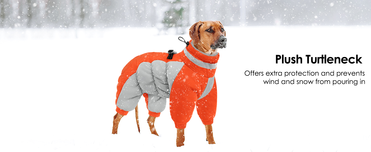 dog coats for large dogs