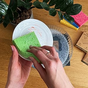 Limpiar un plato con esponjas emergentes Eplanita