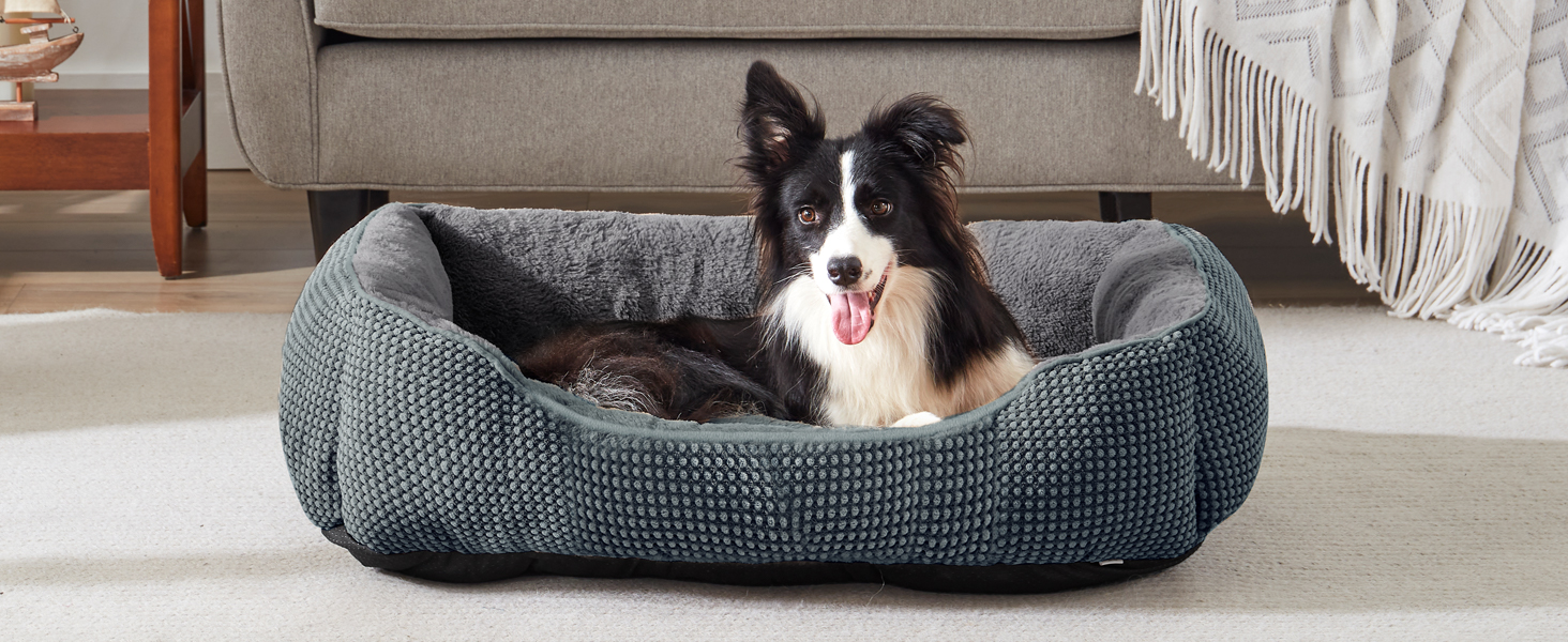 Fotoserie, die Tierbetten und -möbel mit Hunden zeigt, die in weichen, grauen Polsterbetten und bequemen Ruhebereichen herumliegen.