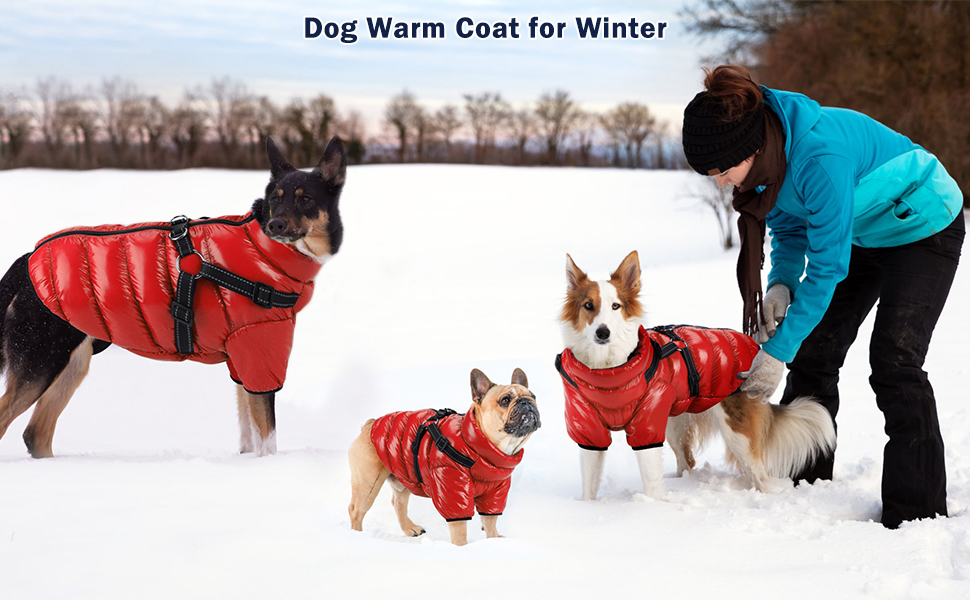 Woiil Dog Winter Jacket, Large Dog Coat Waterproof with Harness Dog