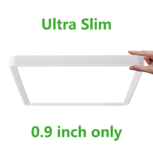 led ceiling light