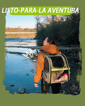 Pecute Large Portable Pet Travel Bag with Pockets Multifunctional Organizer for Outdoor Use Travel Set with 2 Food Bags + 2 Collapsible Bowls 16 aplus content image