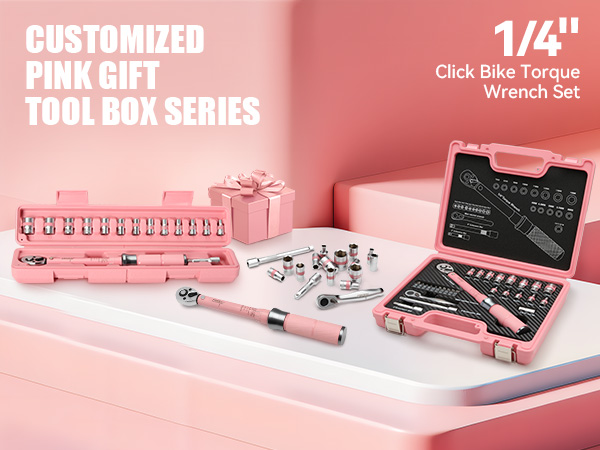 DISEN 28 PCS Pink Bike Torque Wrench Set 1/4 Drive, Gift