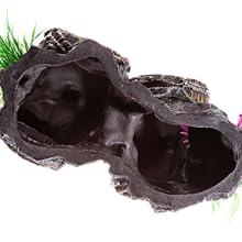 marimo moss ball, hamster, reptile, reptiles, hamsters, mice, catfish, octopus, turtle, lizard