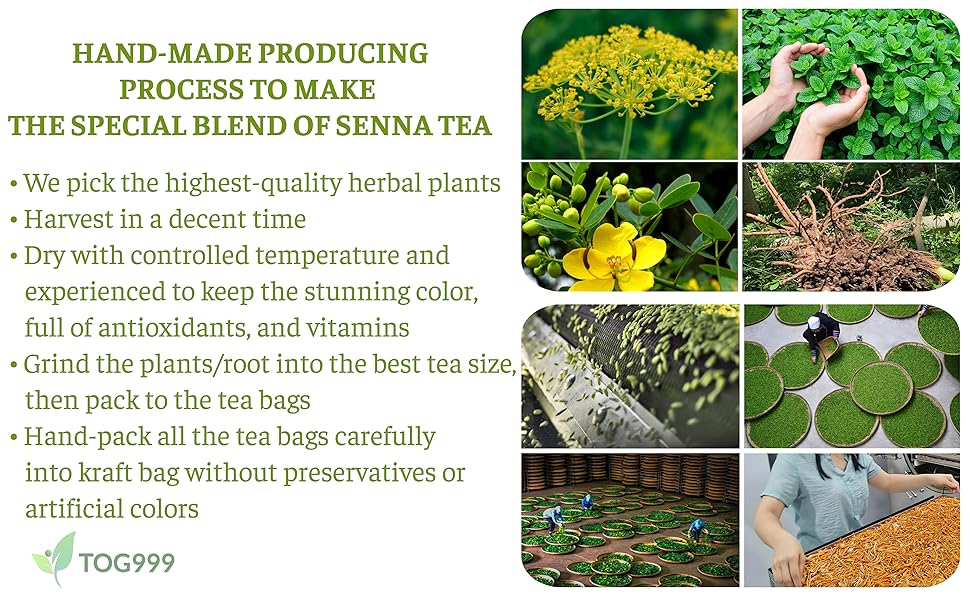senna peppermint licorice fennel tea blend mix special