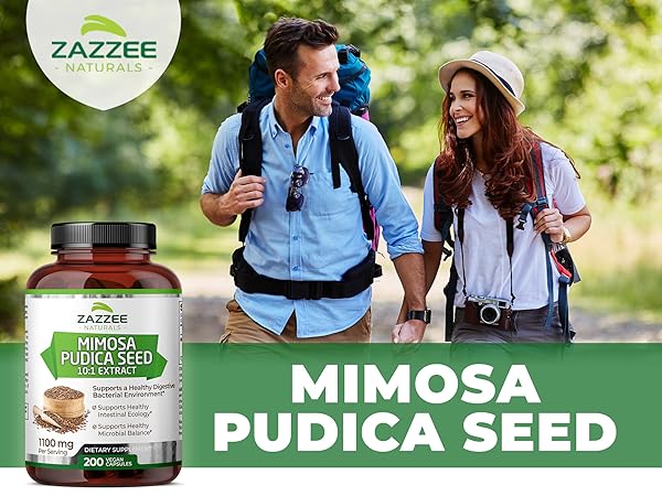 Amazon.com: Zazzee Mimosa Pudica Seed 10:1 Extract, 200