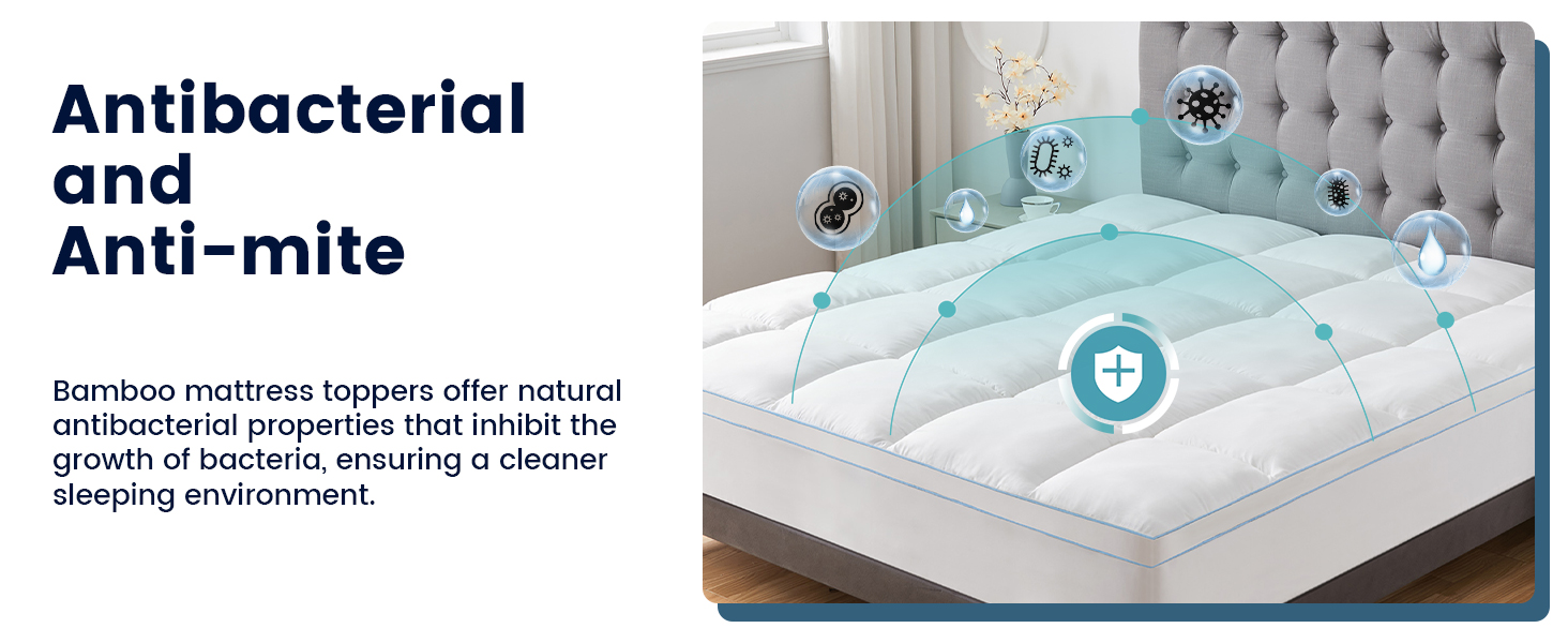 antibacterial and anti-mite