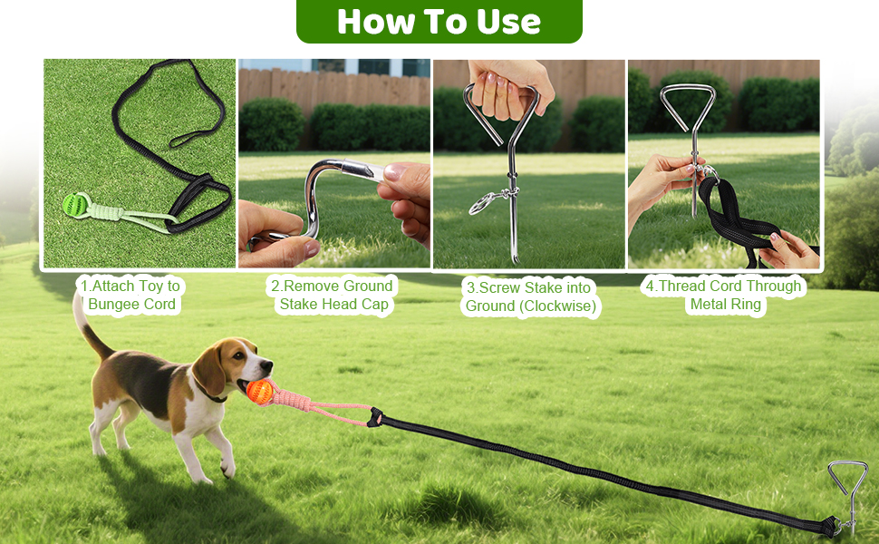 Interactive Dog Toys