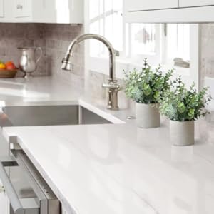 Planet-Friendly, Widely Decor