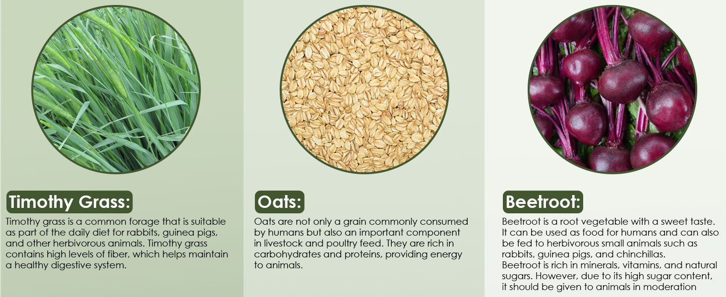 Rabbit Chew Toys for Teeth Natural Molar Sticks