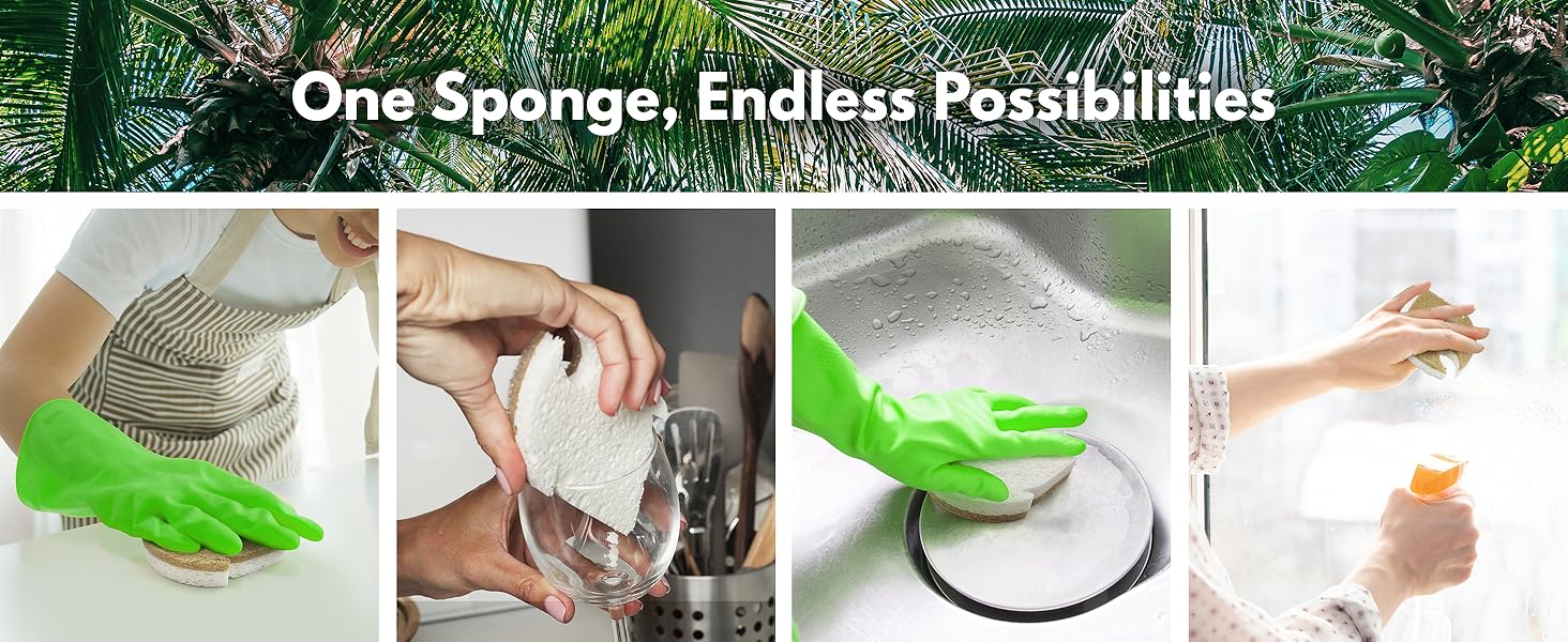 Leaf Sponges
