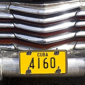 Yarlung 8 Pack License Plate Screws Kit, Finger Shape Stainless Steel License Plate Bolts Fasteners 