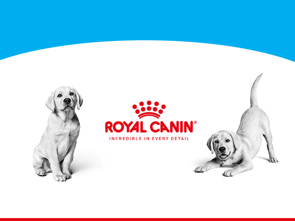 ドッグフード  CANIN Labrador Retriever 13kgx2 Amazon.com: Royal Canin Breed Health Nutrition Labrador