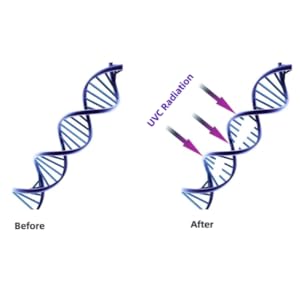 UVC Radiation
