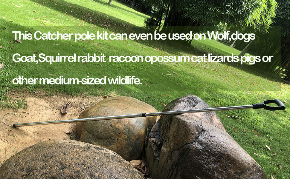 SYFRLLC 45'' Animal Catcher Pole Control Tool Heavy Duty