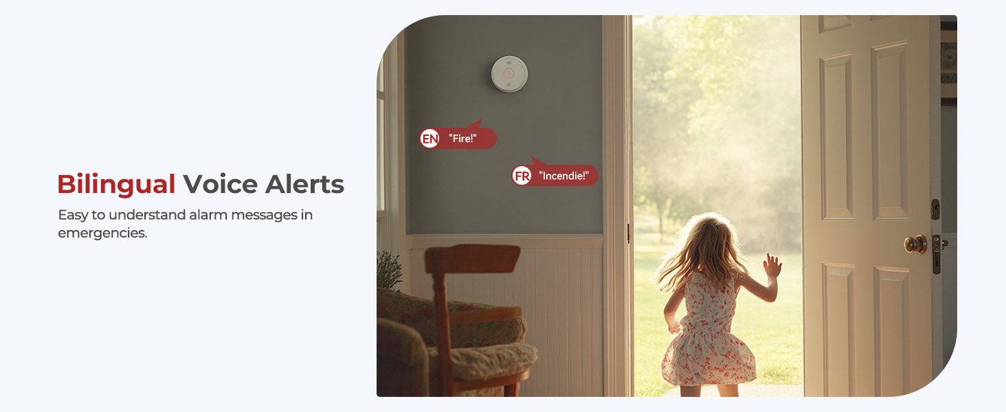 Smoke Detectors
