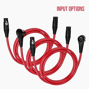 Input Options