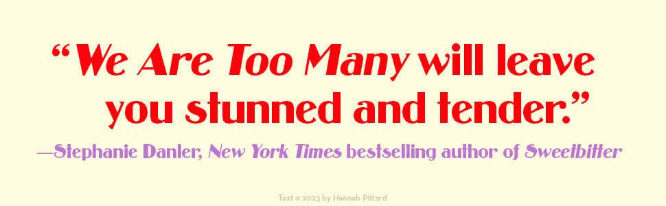 We Are Too Many Hannah Pittard Stephanie Danler quote