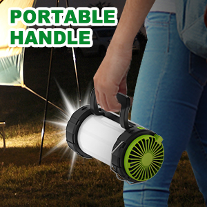 portable handle light