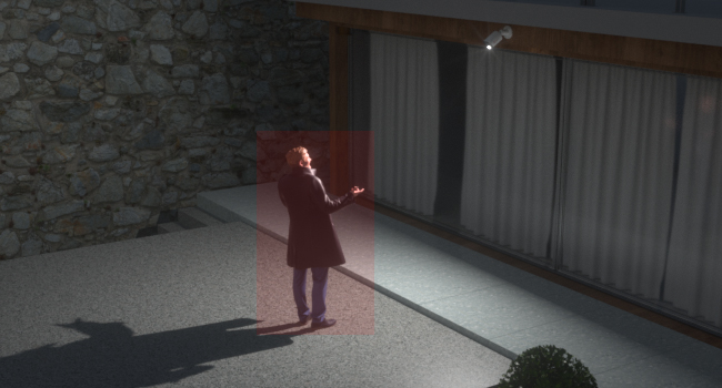 Night: Human/Vehicle Detected