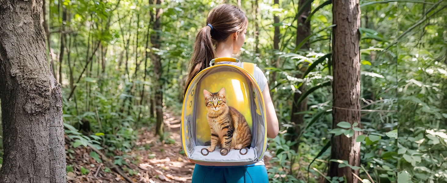 lightweight portable pet backpack yellow