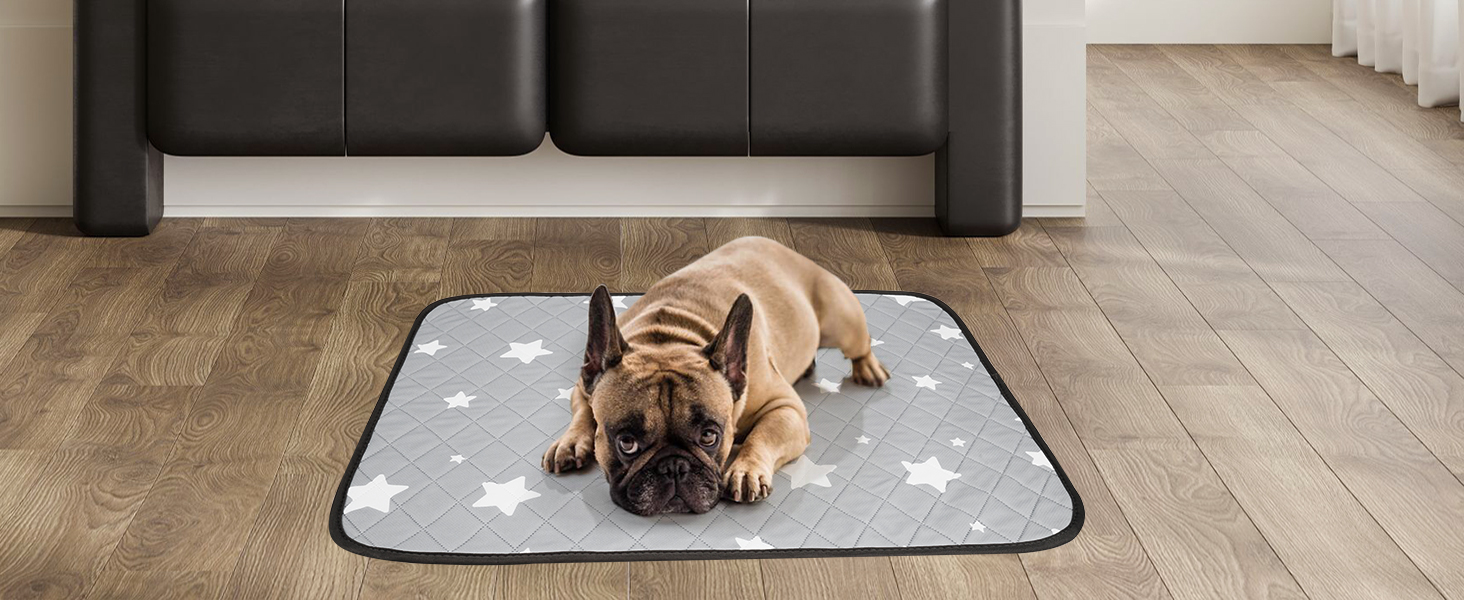 Puppy Training Pads 2 Pack Washable Dog Pee Pad Super Absorbency