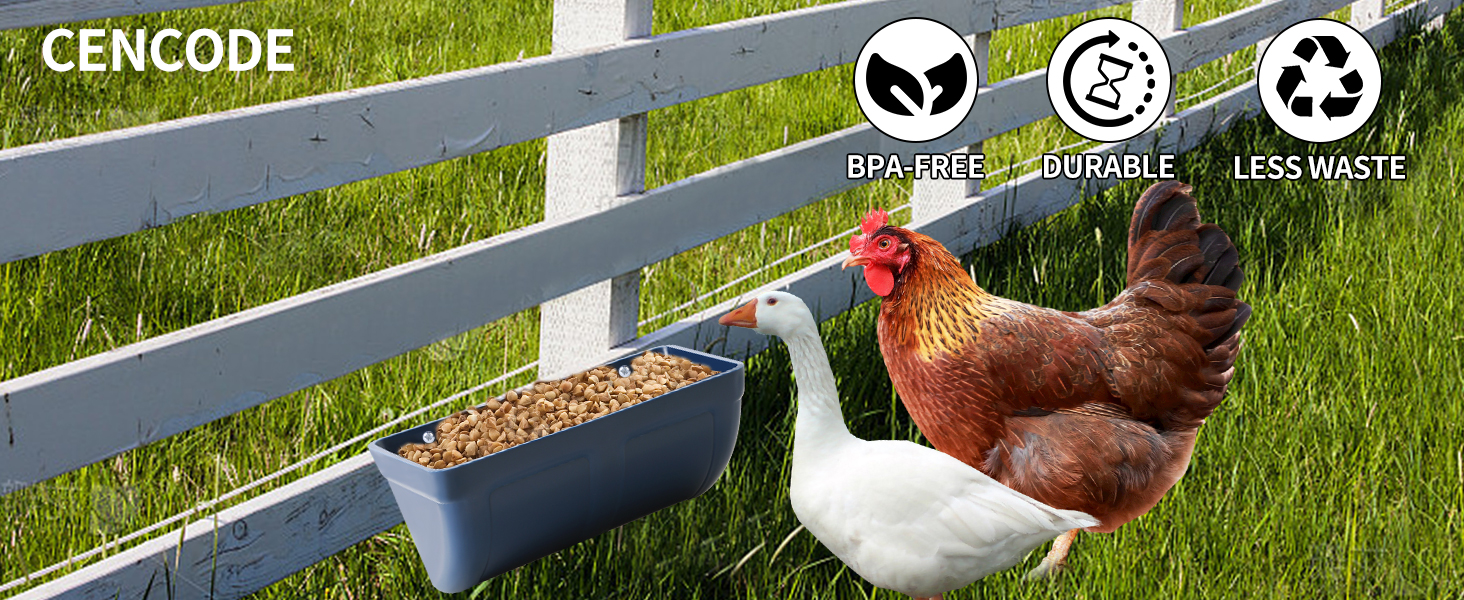 chicken feeder and waterer set